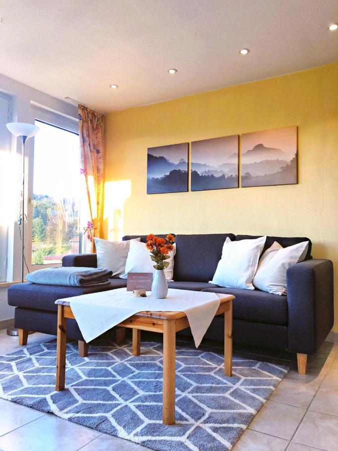 Haus Panorama Sankt Andreasberg 아파트 외부 사진